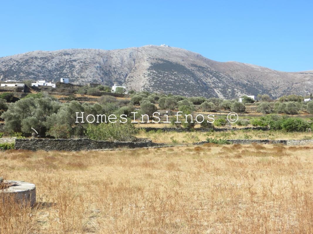 Artemonas Land For Sale - 4