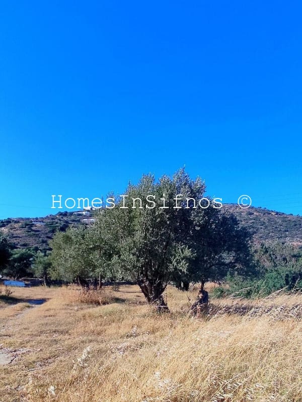 Platis Gialos Land For Sale