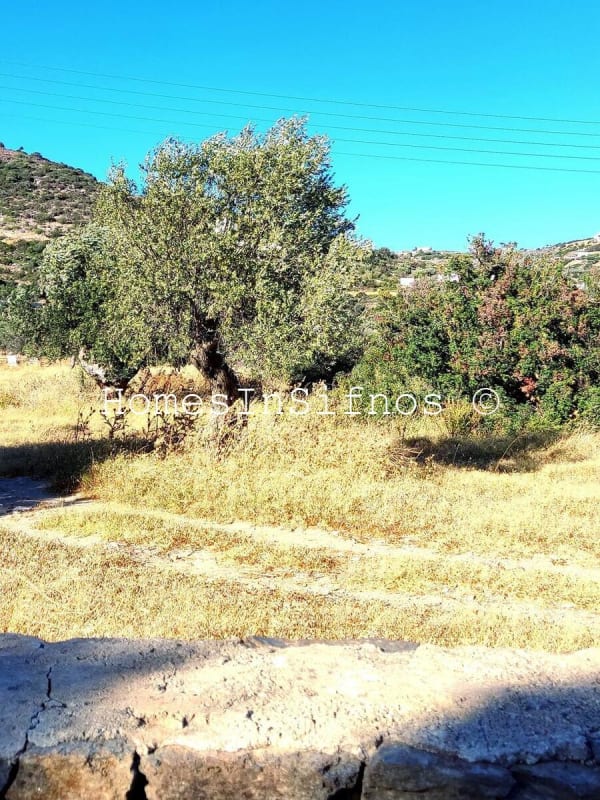 Platis Gialos Land For Sale - 2