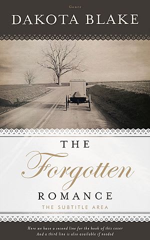 The Forgotten Romance by DAKOTA BLAKE
