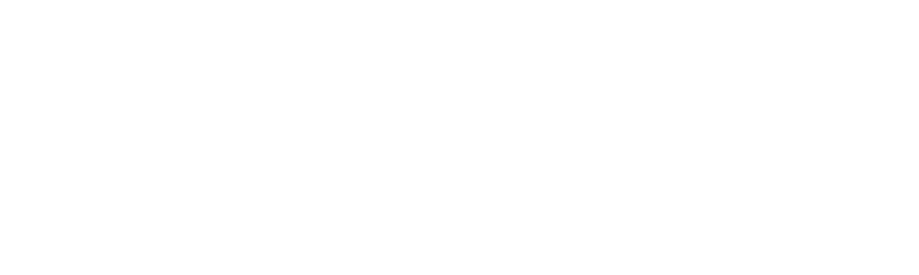 StarX Logo