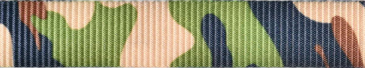 Example 2