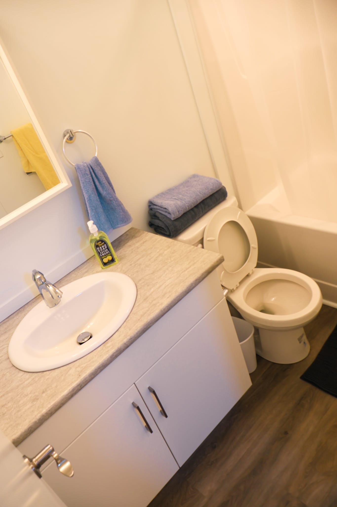 2-bedroom 1 bath - lower suite thumbnail 11