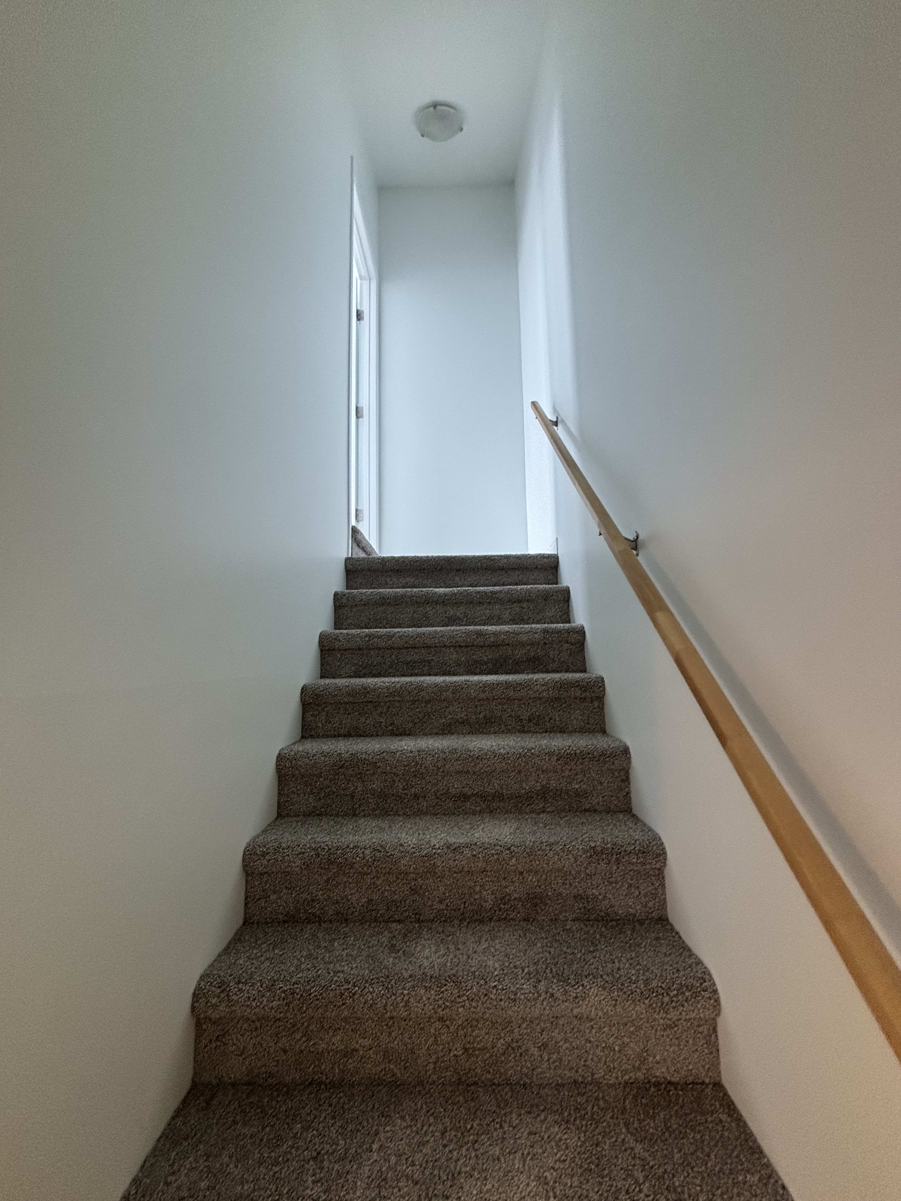 4 Bedroom, 2.5 Bathroom thumbnail 43