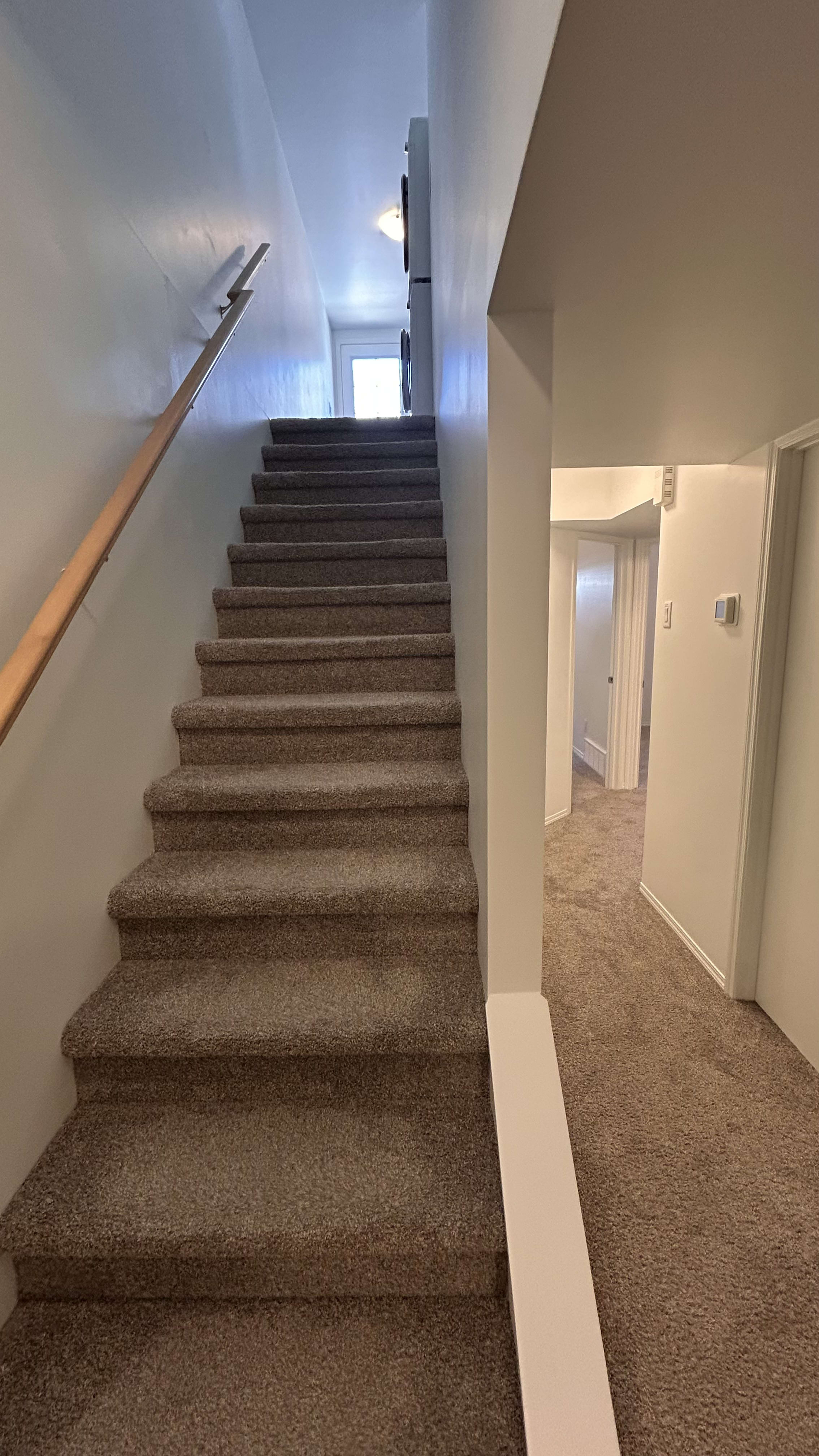 3-bedroom, 1-bathroom basement suite thumbnail 14
