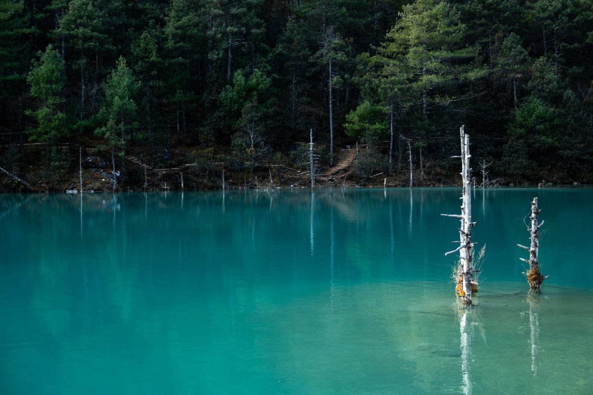 Dali&lijiang, China 照片
