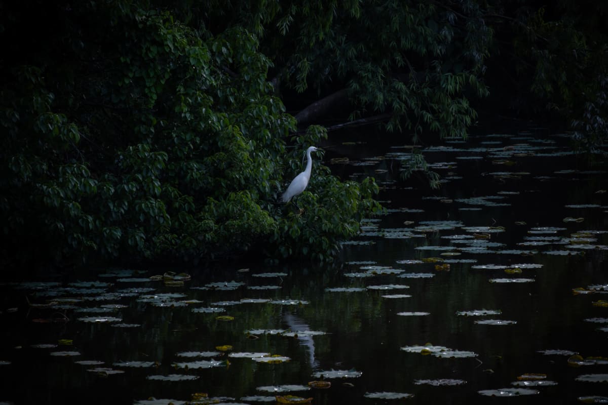 Hangzhou, China 照片