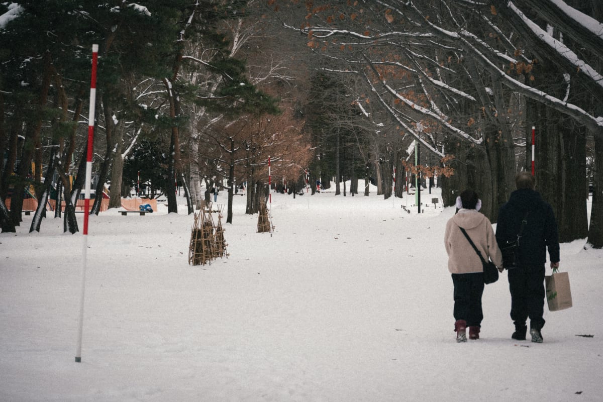 Hokkaido, Japan 照片