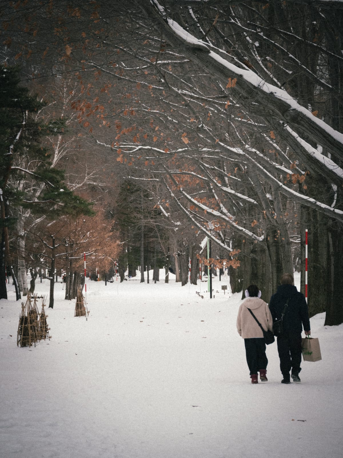 Hokkaido, Japan 照片