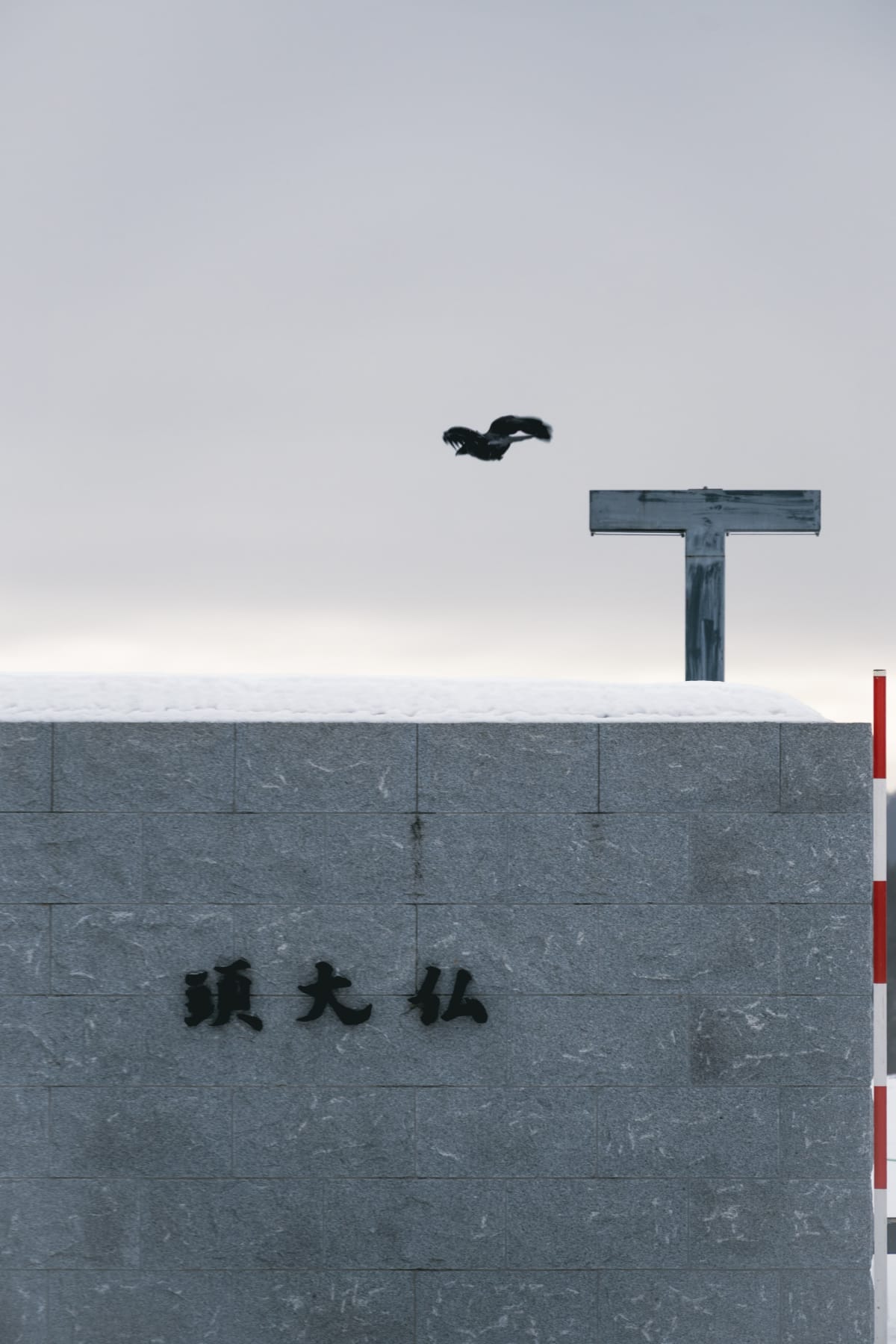 Hokkaido, Japan 照片