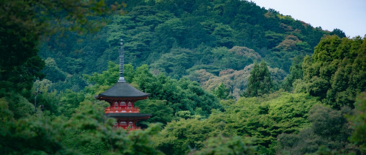 Kyoto, Japan 照片