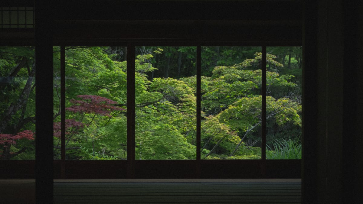 Kyoto, Japan 照片