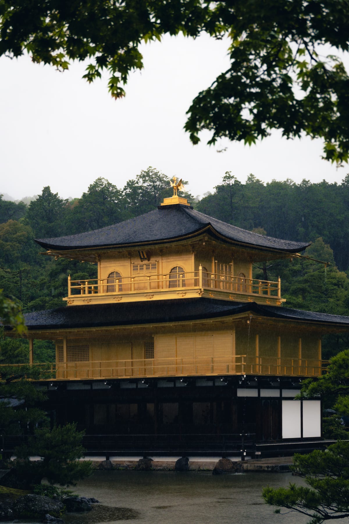 Kyoto, Japan 照片