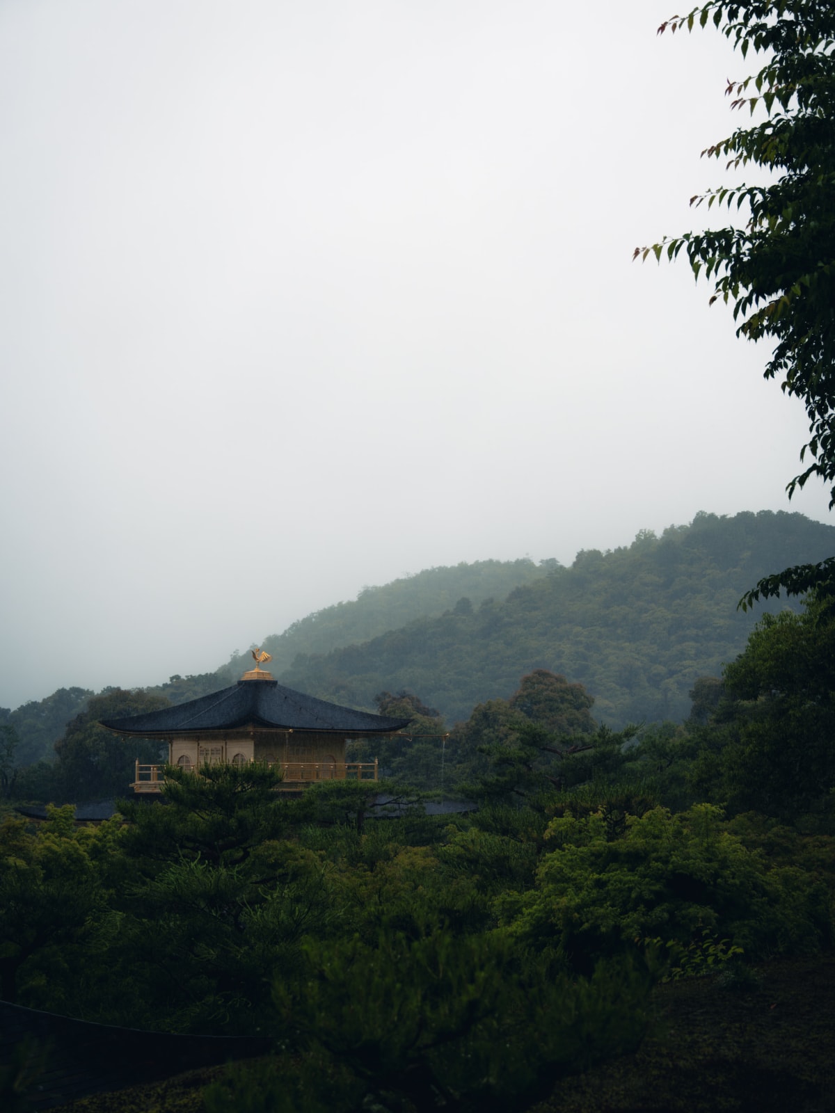 Kyoto, Japan 照片