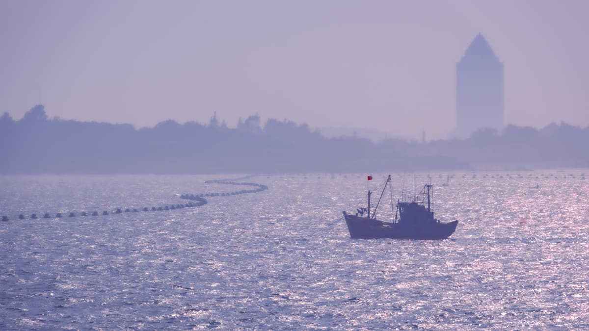 Qingdao, China 照片
