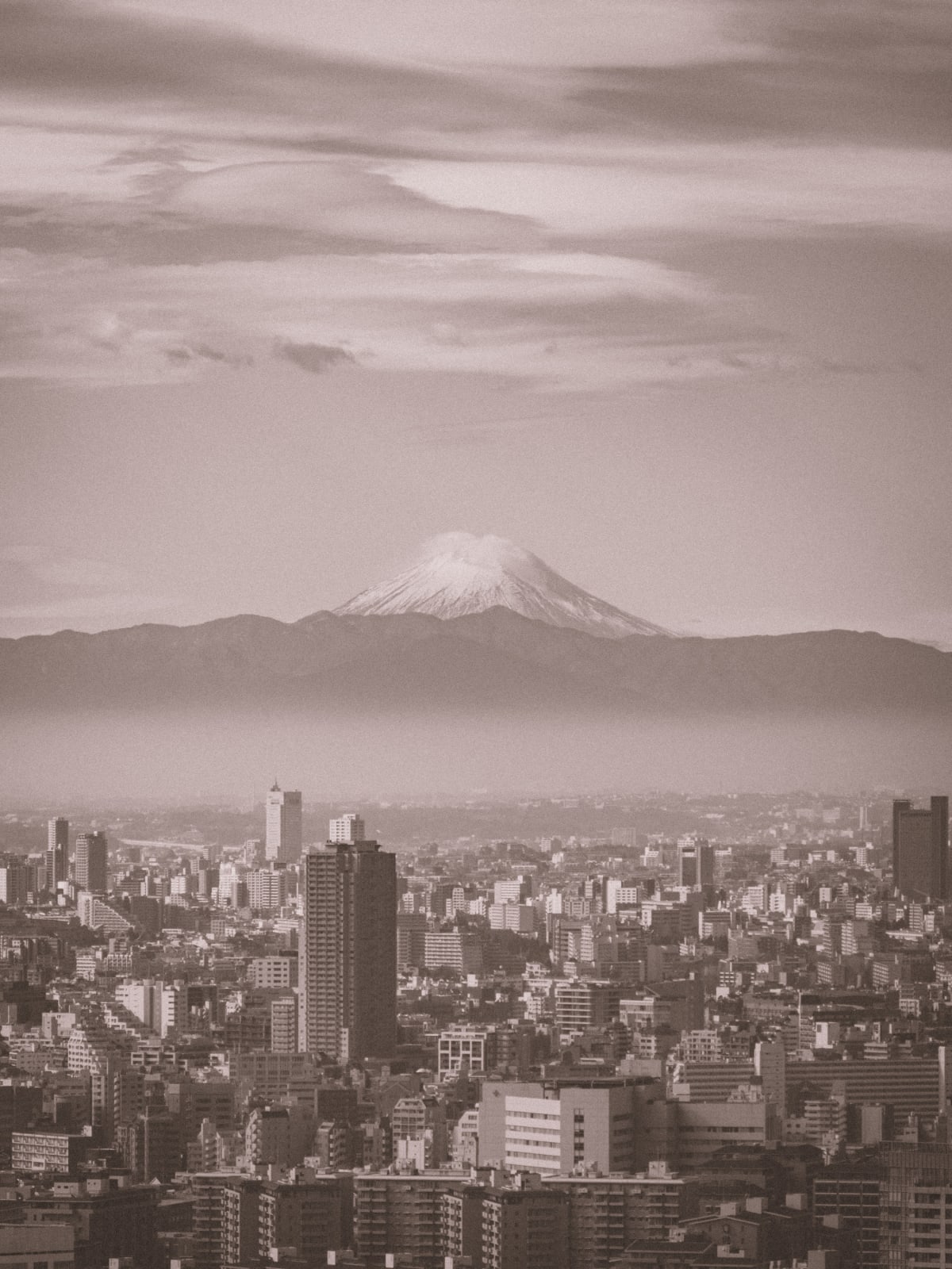Tokyo, Japan 照片