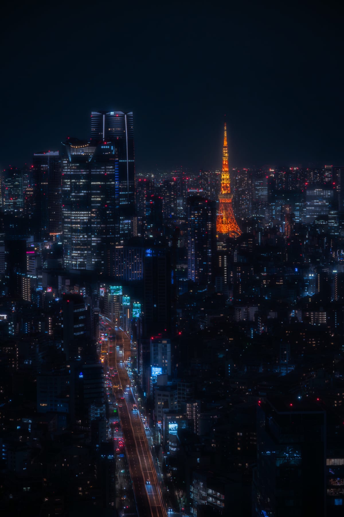 Tokyo, Japan 照片
