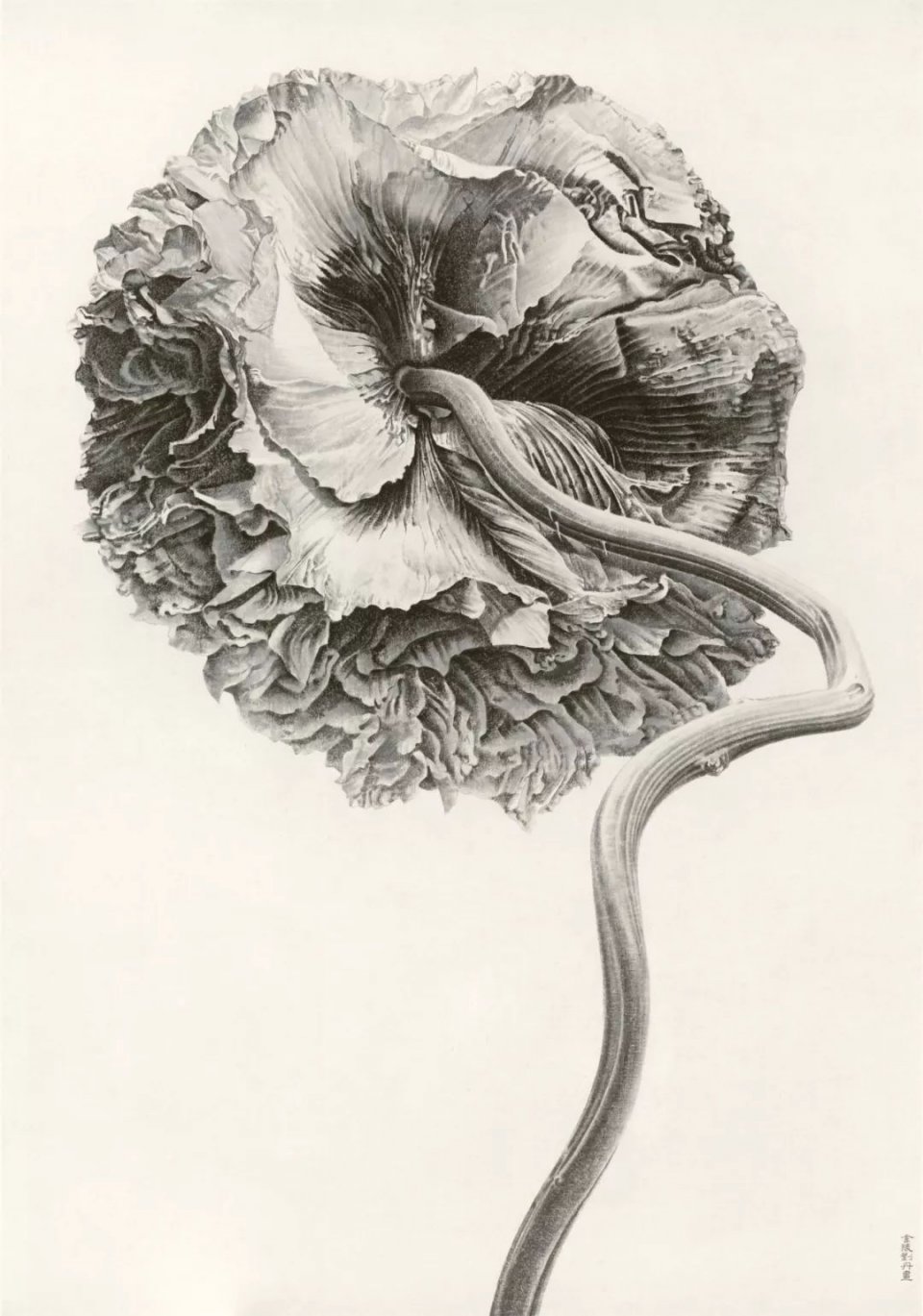 Image of Liu Dan's 2007 ink painting, Poppy