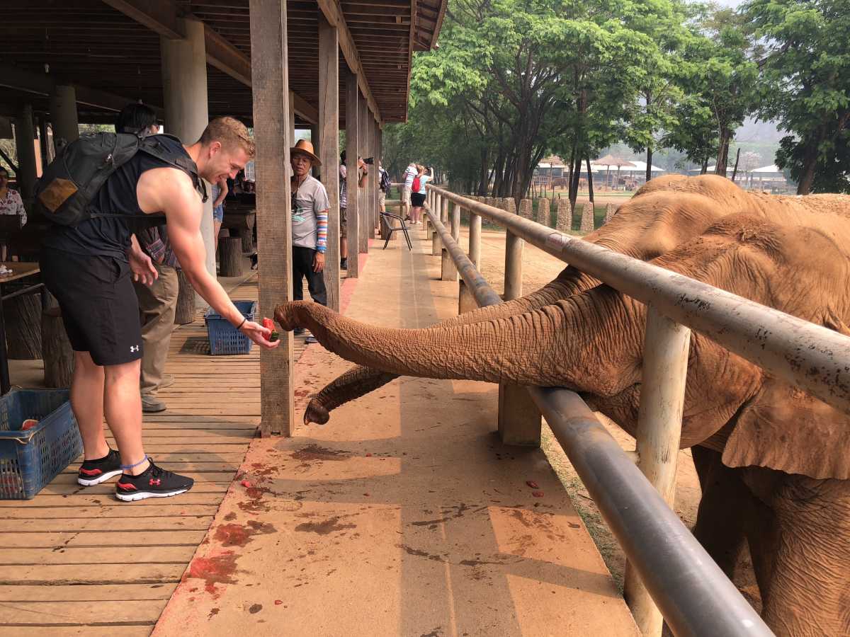 Karl feeding the elephants