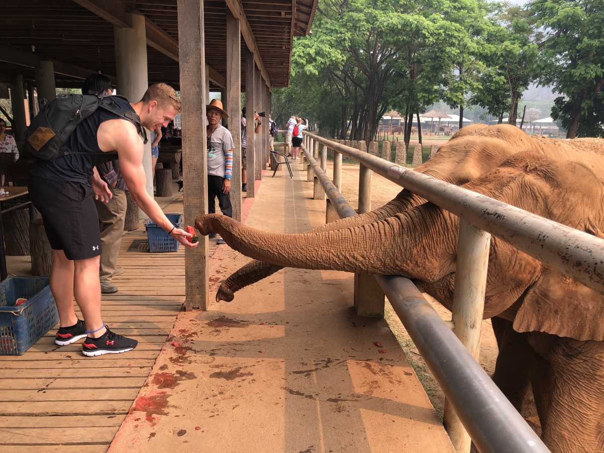 Karl feeding the elephants Karl feeding the elephants