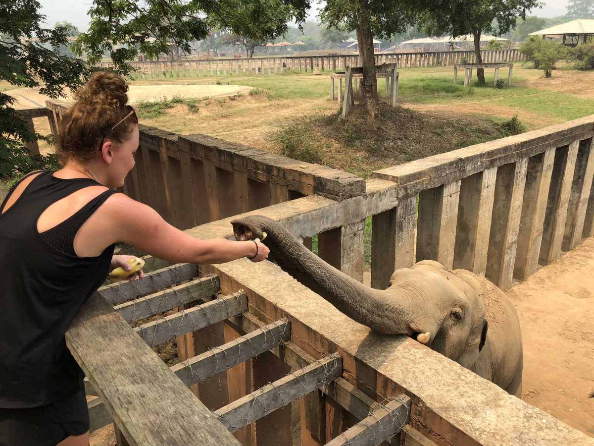 Me feeding the elephants