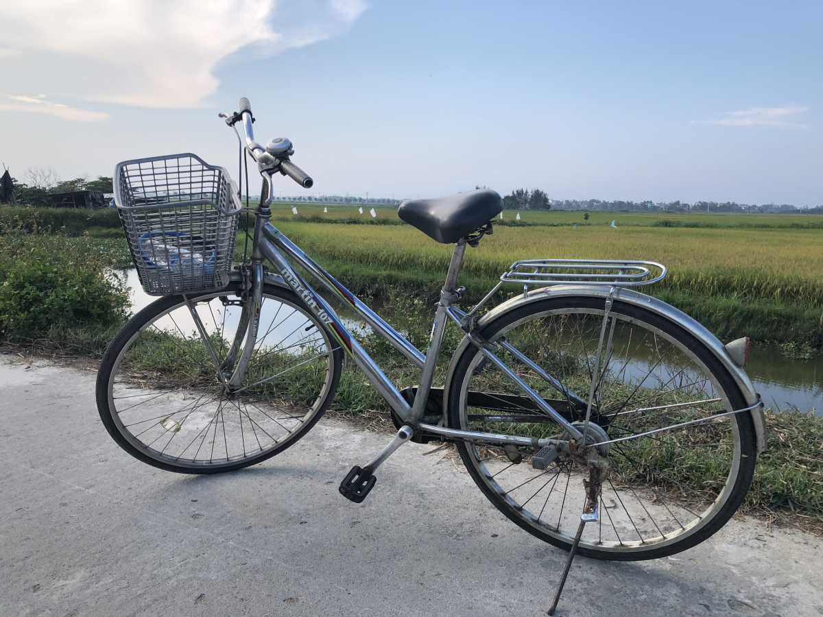 Biking through the rice fields