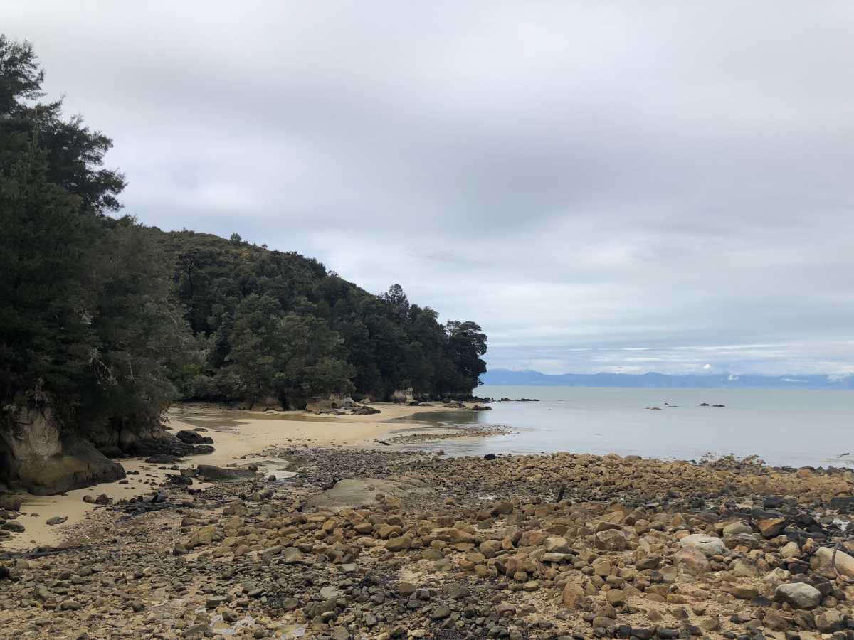 Abel Tasman coastal walk