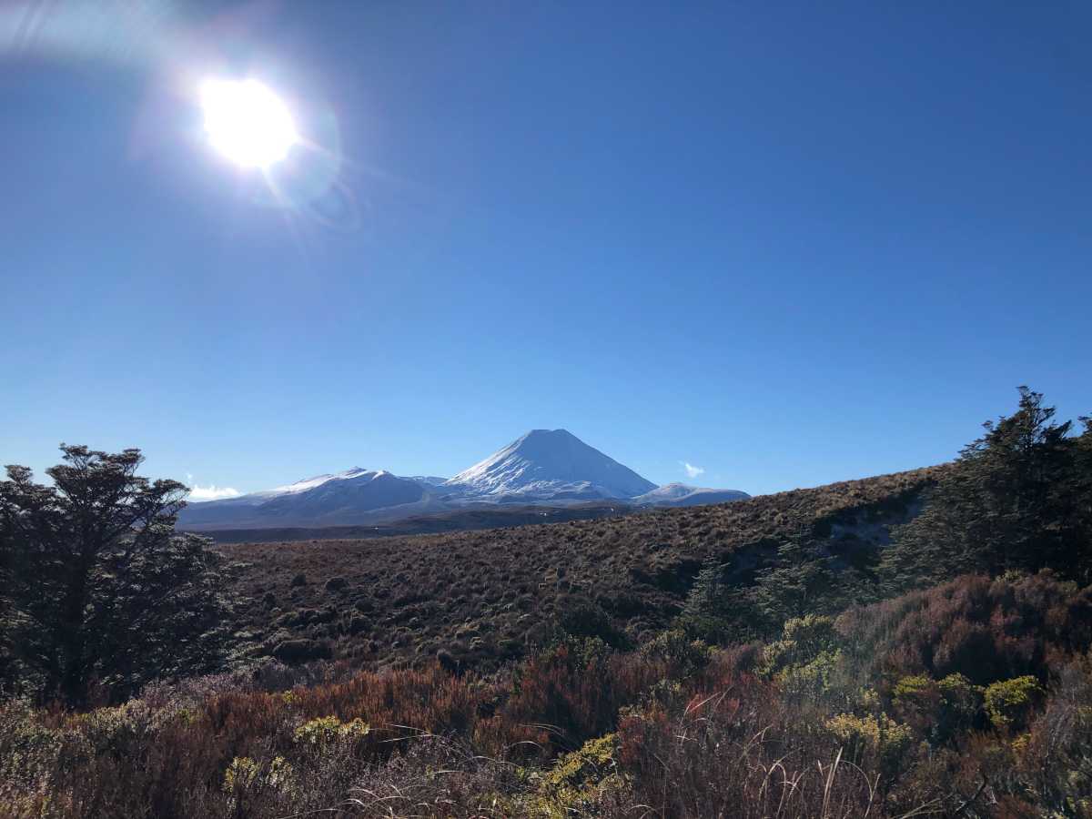 View from the Whakapapa Ridge Walk