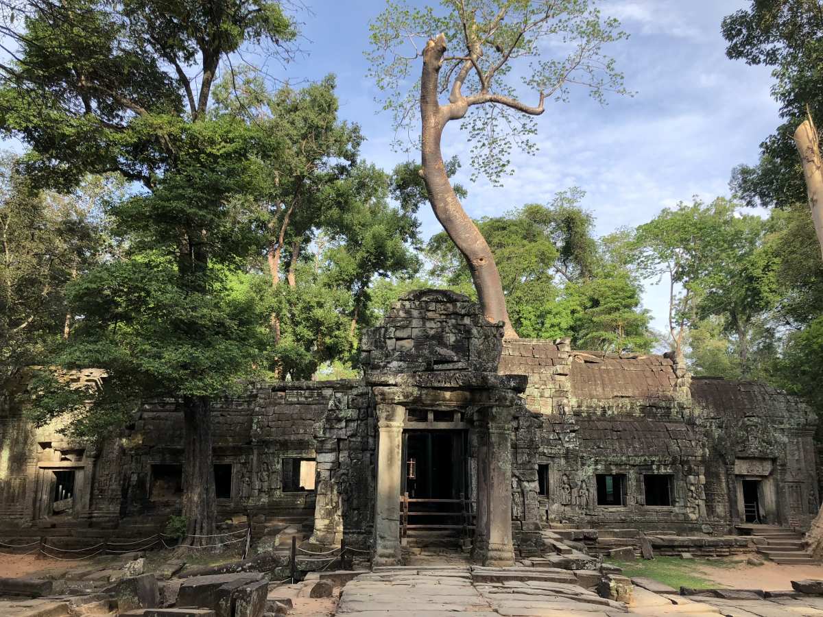 Ta Prohm Temple