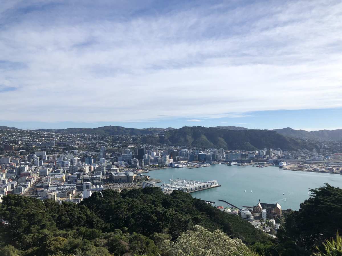 View from Mt Victoria