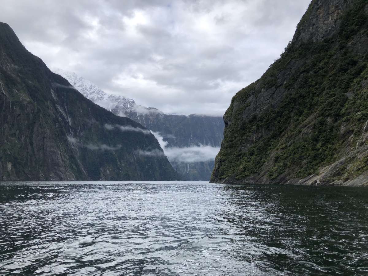 Incredible views in Milford Sound