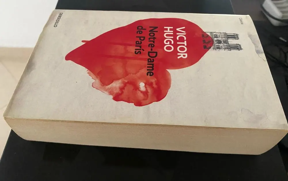 Notre-Dame de París - Victor Hugo - detalle 3 - libro usado
