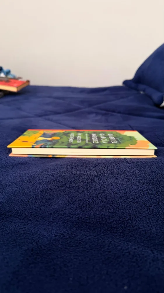 En agosto nos vemos - Gabriel García Márquez - detalle 2 - libro usado