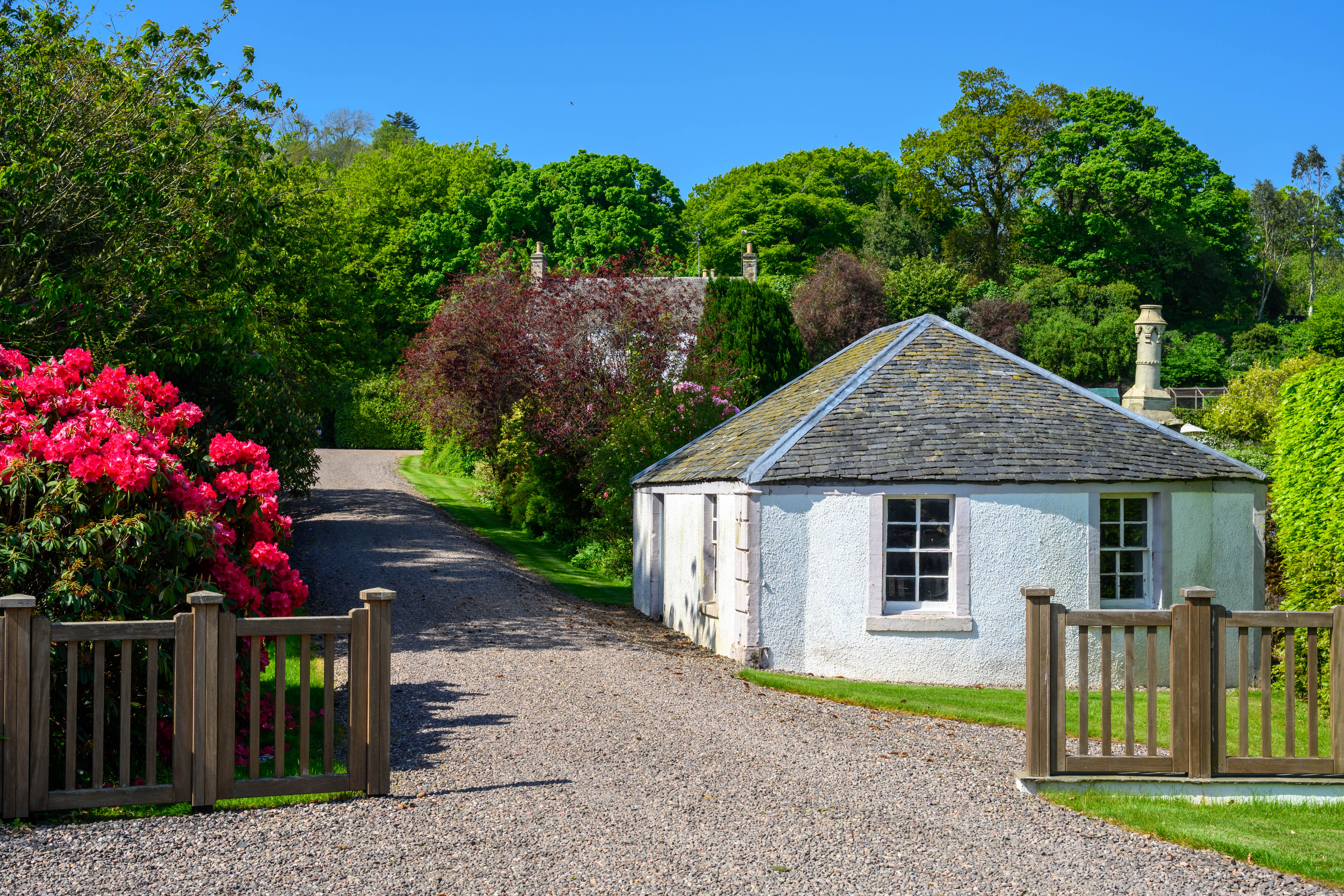 The Garden Flat