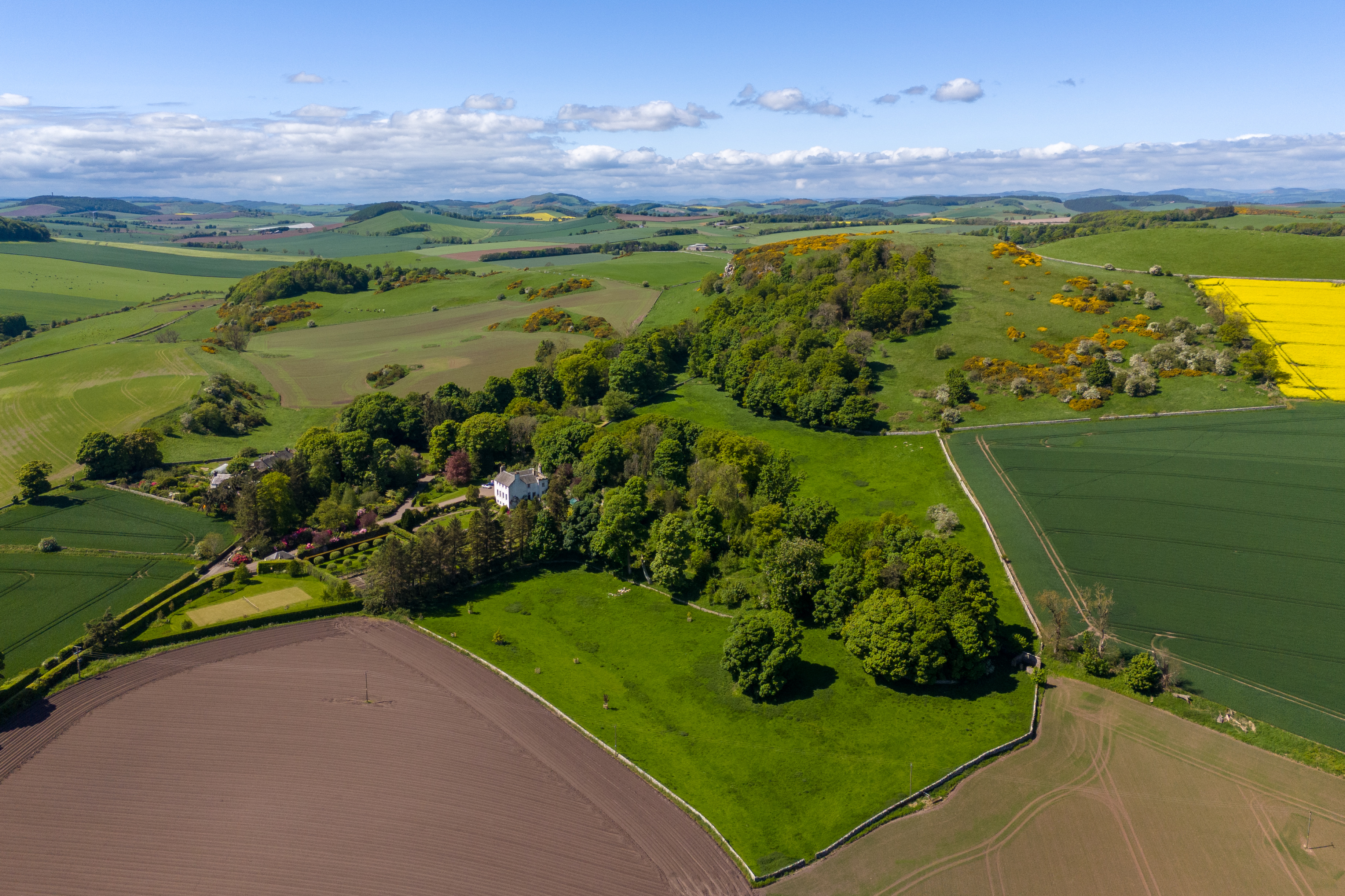 The Area