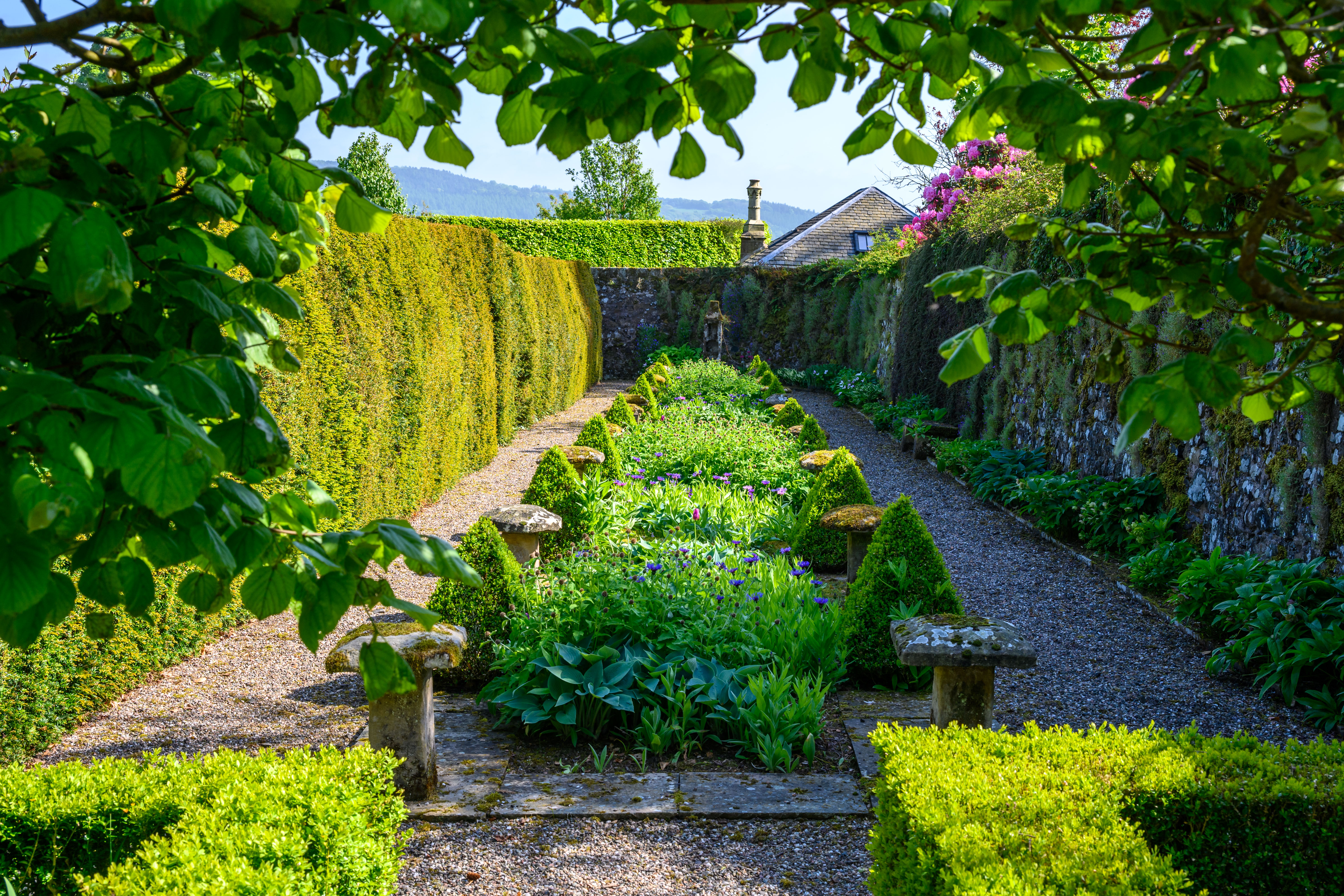 The House — walled garden