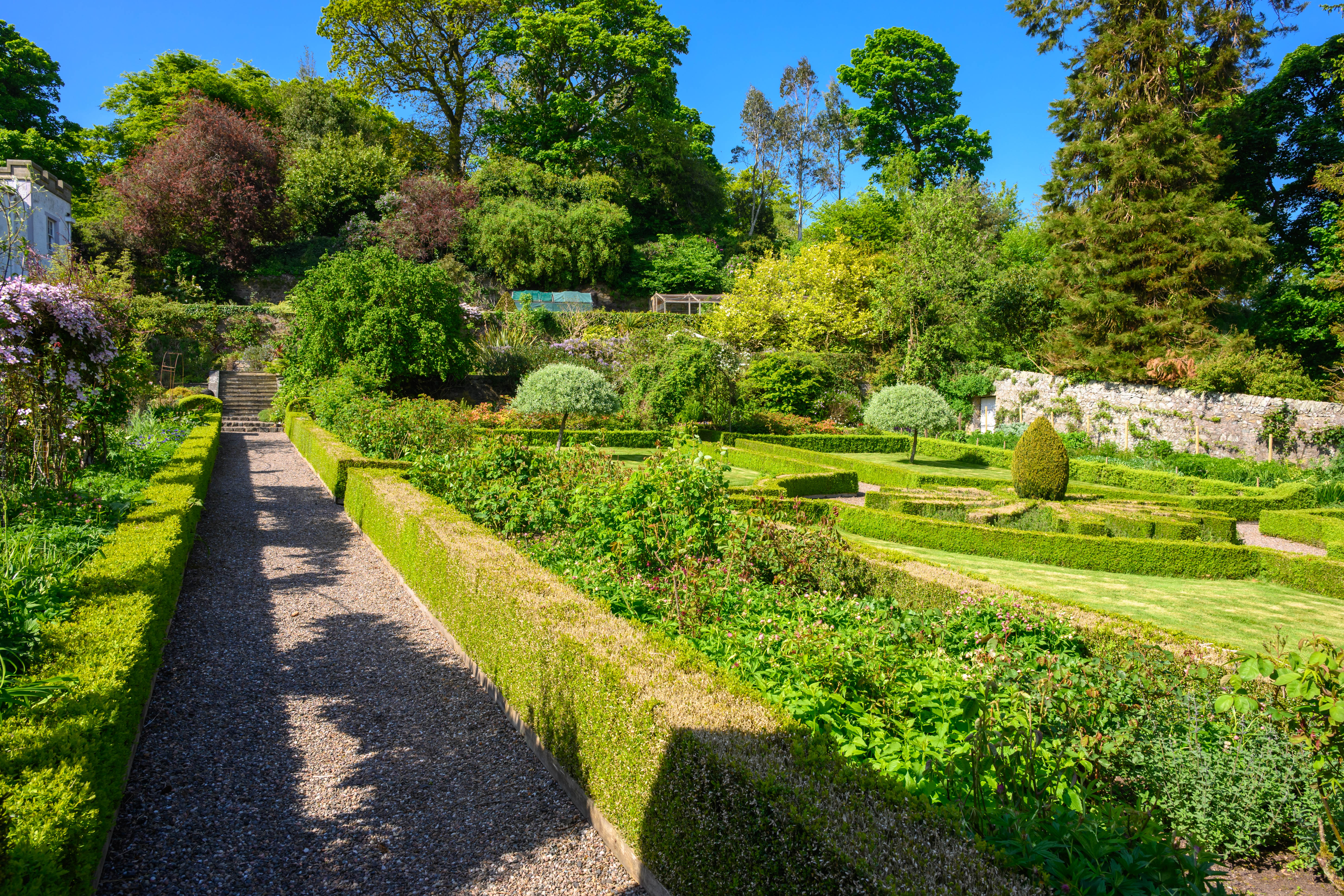 The House — walled garden 2