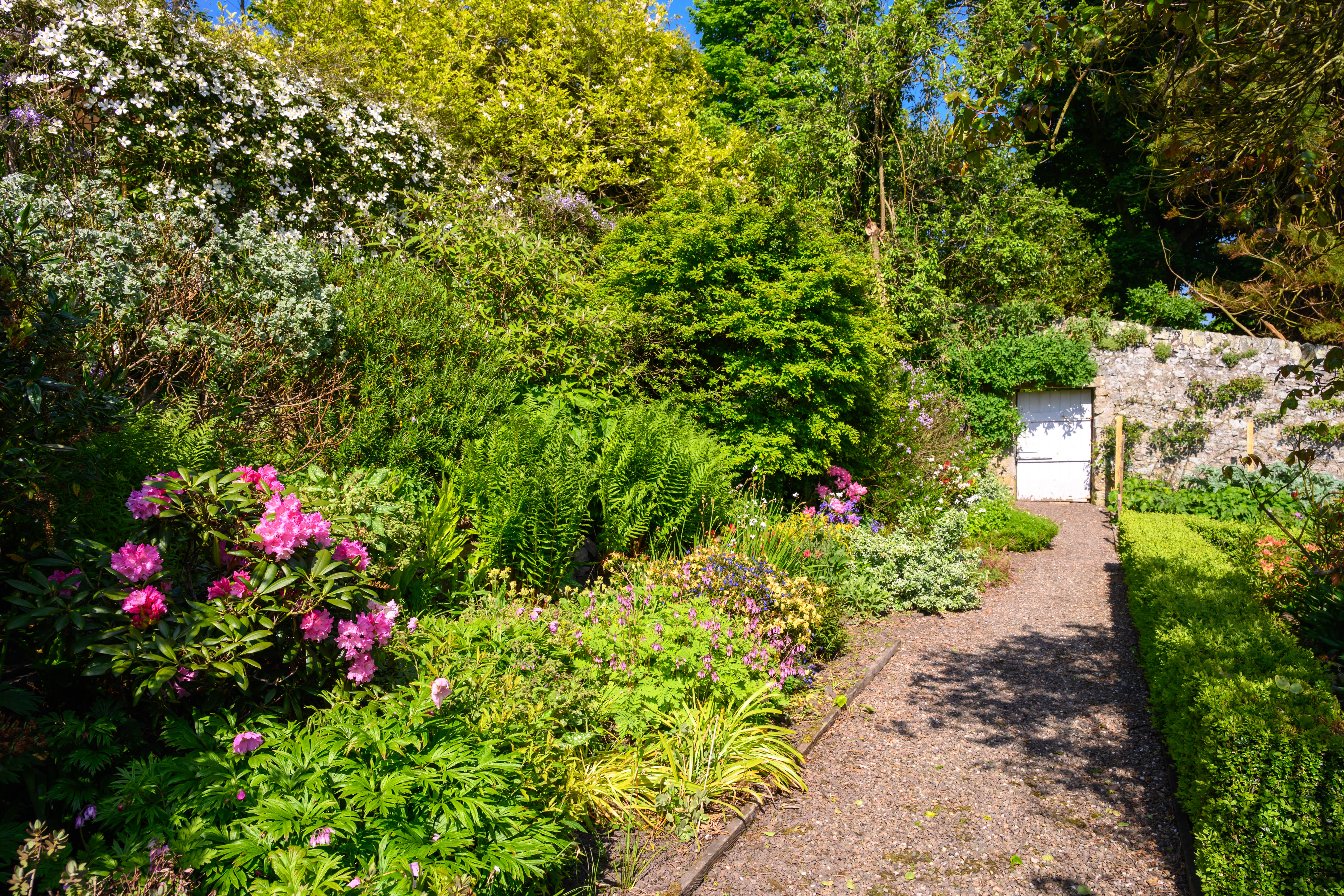 The House — walled garden 4