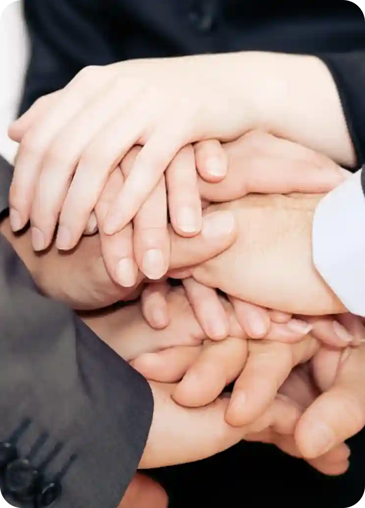 Close-up of hands stacked on top of each other, symbolizing steady career growth and team support.