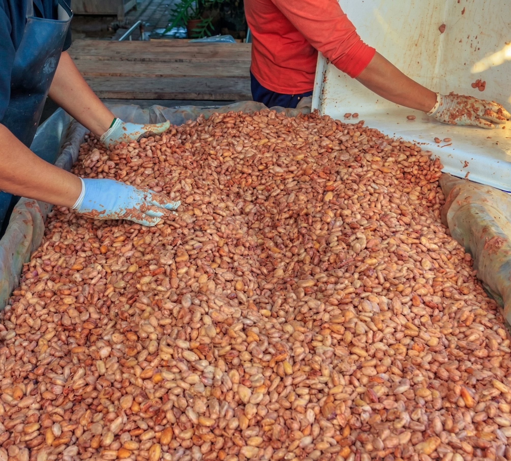 Fermentación Natural