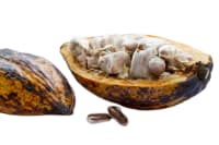 Chocolate artesanal