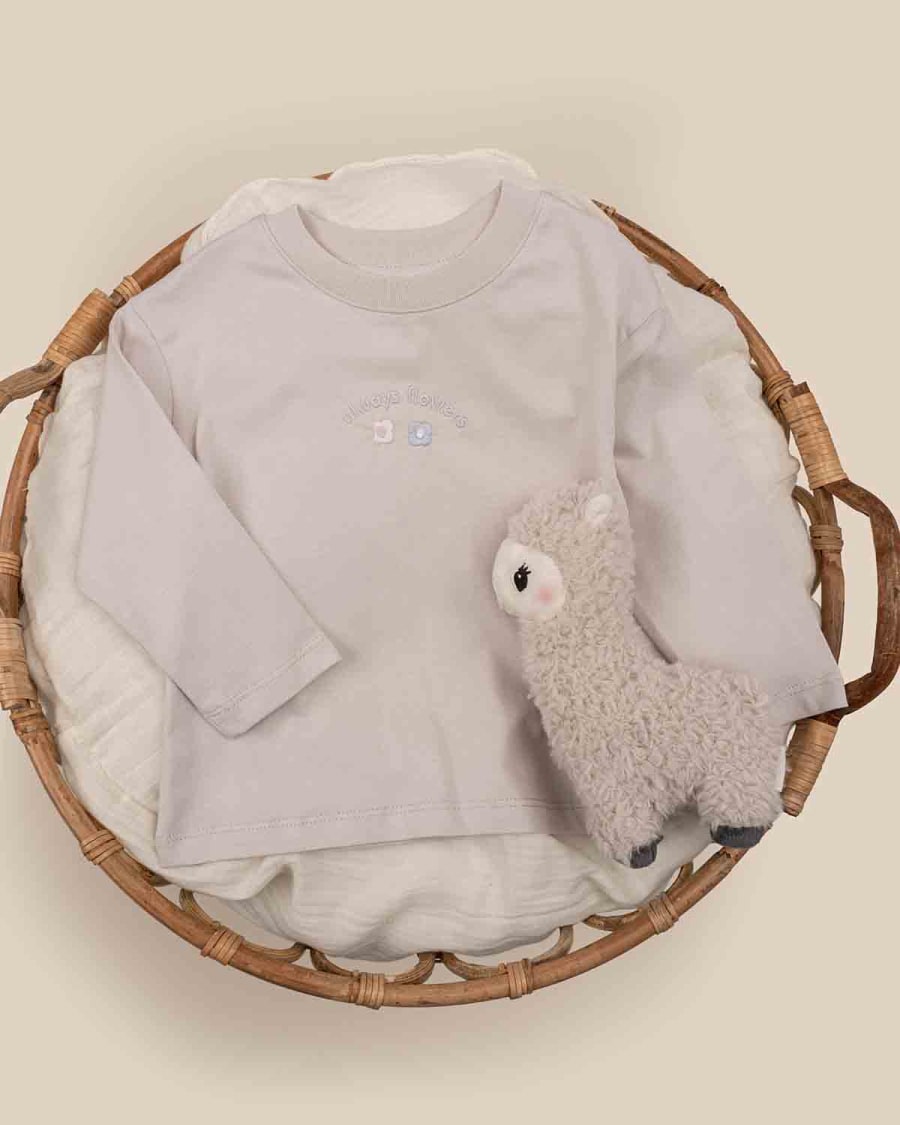 V06656 SWEAT