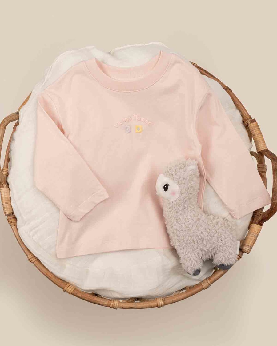 V06656 SWEAT