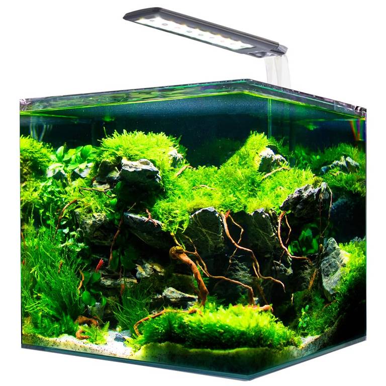 Acuario Amtra Nanotank Cubo System Tanque + Led y Filtro 30L (Reaco Como Nuevo)