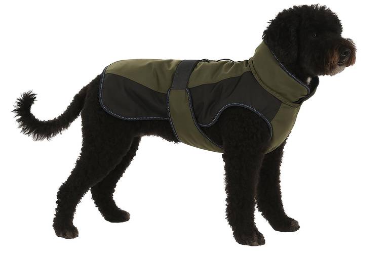 Flamingo Abrigo DE Invierno para perros EISBERG Caqui/Azul Oscuro 55CM
