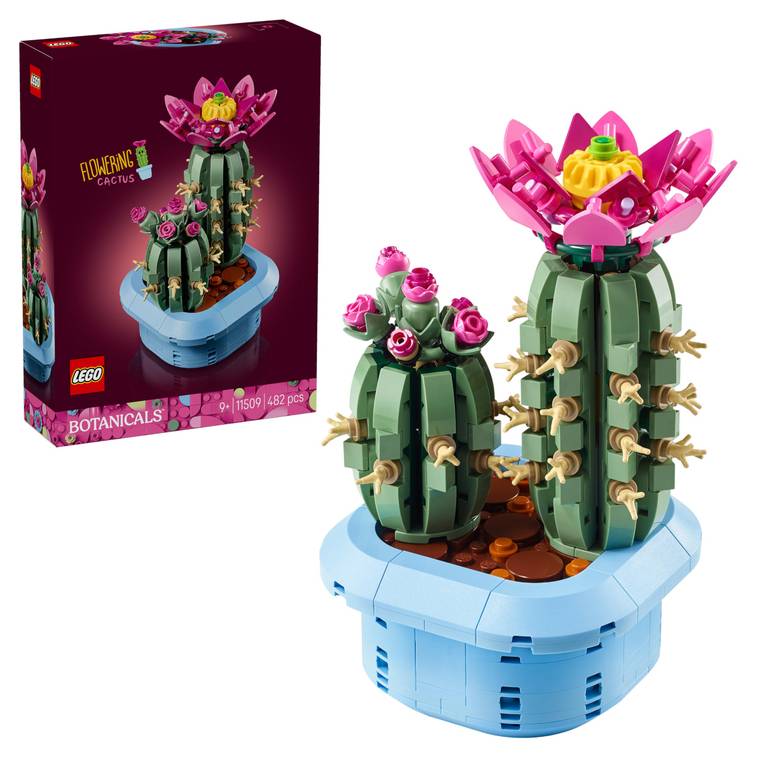 LEGO Botanicals Cactus en Flor 11509 (Planta artificial con maceta, flores desmontables, 2 cactus, decoración hogar, set 9+, en Amazon)