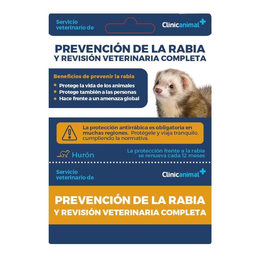 Tarjeta de prevención de la rabia + revisión veterinaria completa para hurones