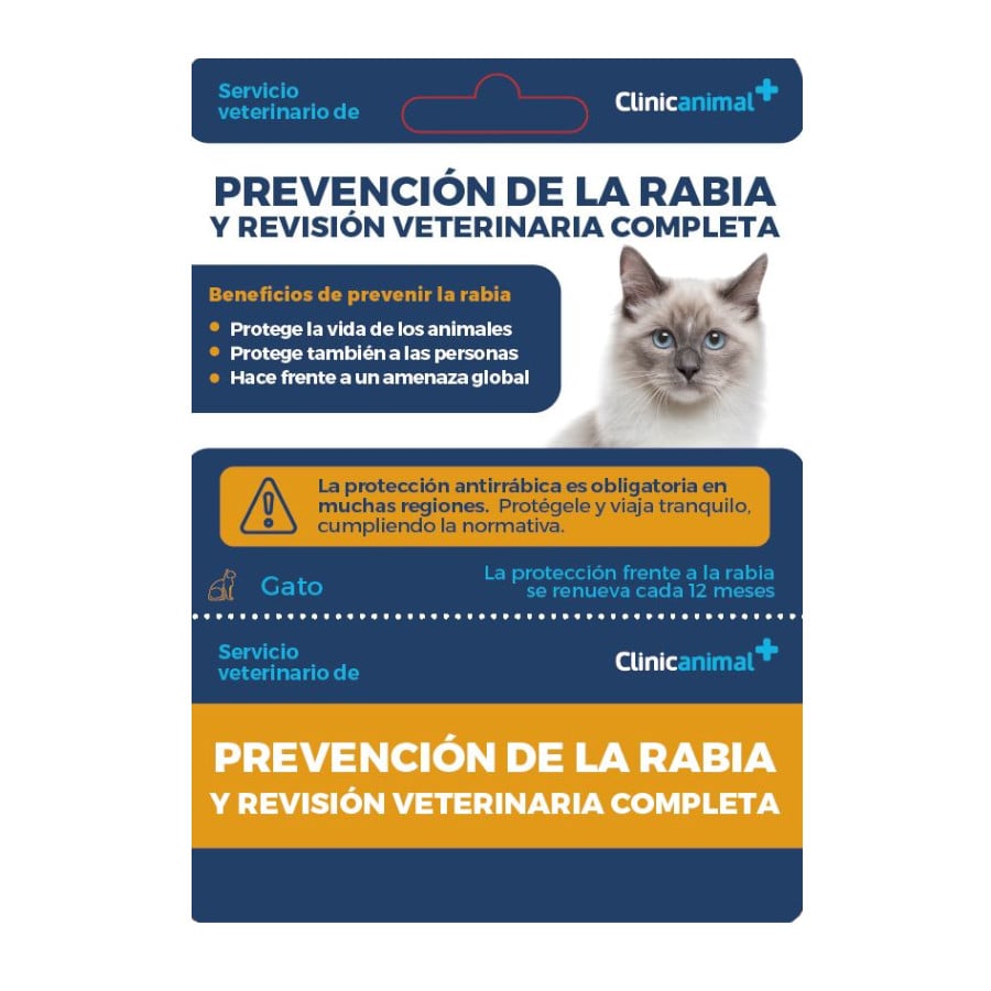 Tarjeta de prevención de la rabia + revisión veterinaria completa para gato