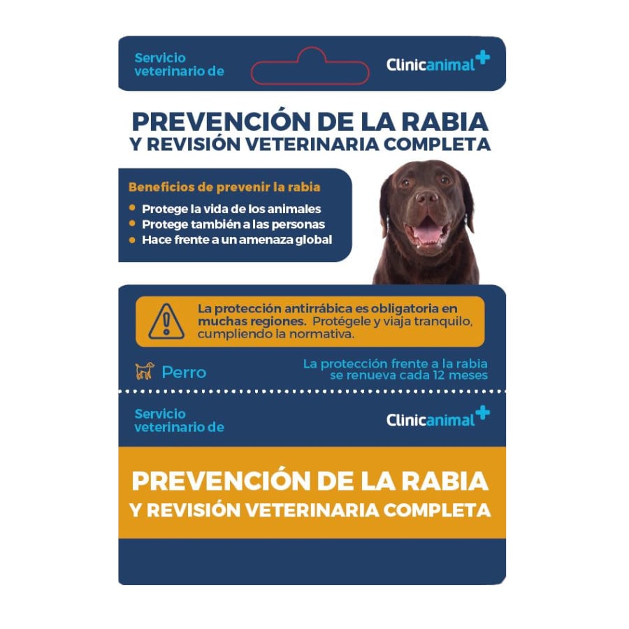 Tarjeta de prevención de la rabia + revisión veterinaria completa para perro