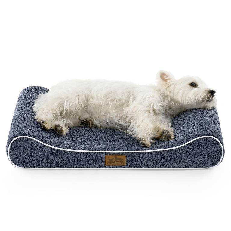 COZY KISS Cama Perro Lavable Impermeable 76x50cm para Perro pequeño, Azul